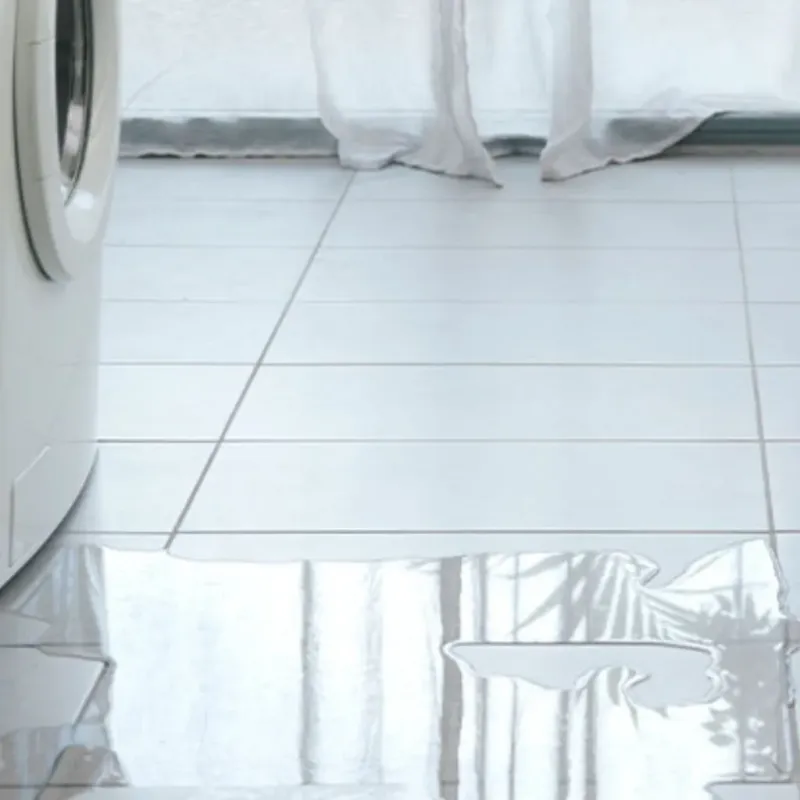 Appliance Leak Cleanup in Cherokee County, TX