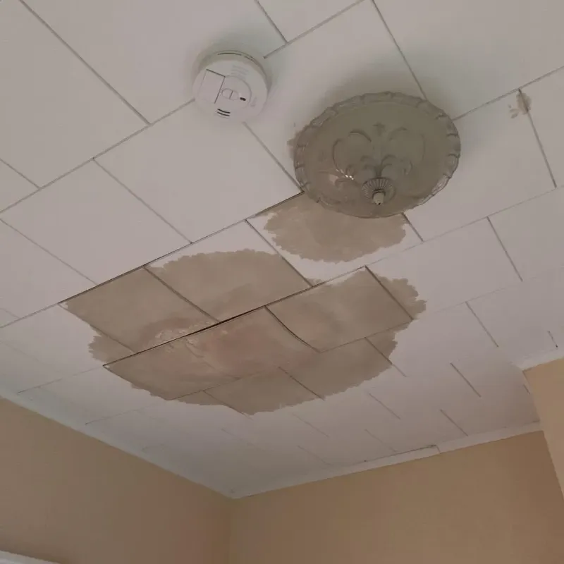 Ceiling Water Damage Repair in Cherokee County, TX