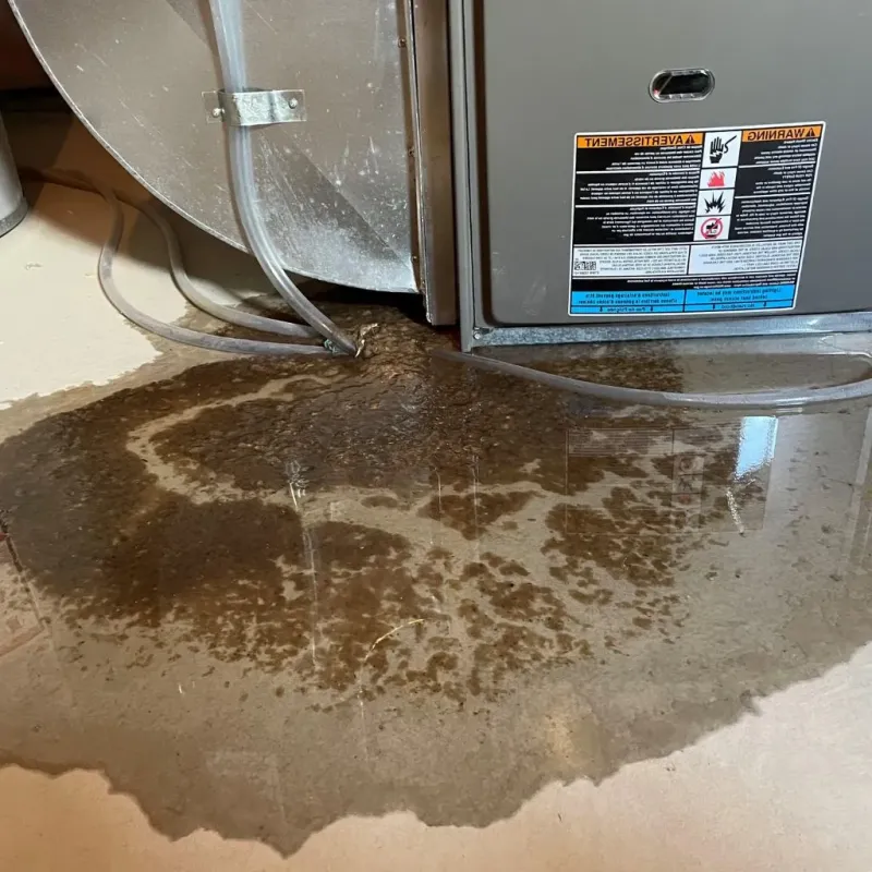 Pipe Burst and Leak Restoration in Cherokee County, TX