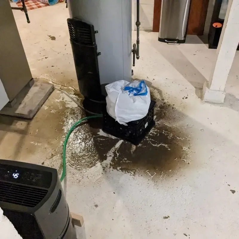 Sewage Backup Cleanup Service in Cherokee County, TX